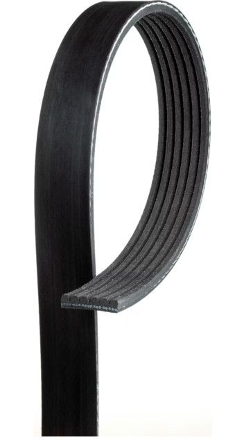 Automotive v-ribbed belt (standard) k06 13/16" x 83" banda automotriz