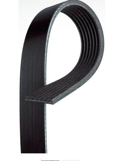 Banda de accesorios / v-ribbed belt
PRECIOS INCLUYEN I.S.V.