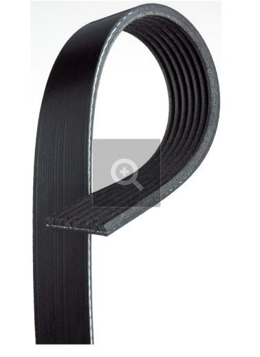Banda de accesorios - serpentine belt                                                                       
PRECIOS INCLUYEN I.S.V.