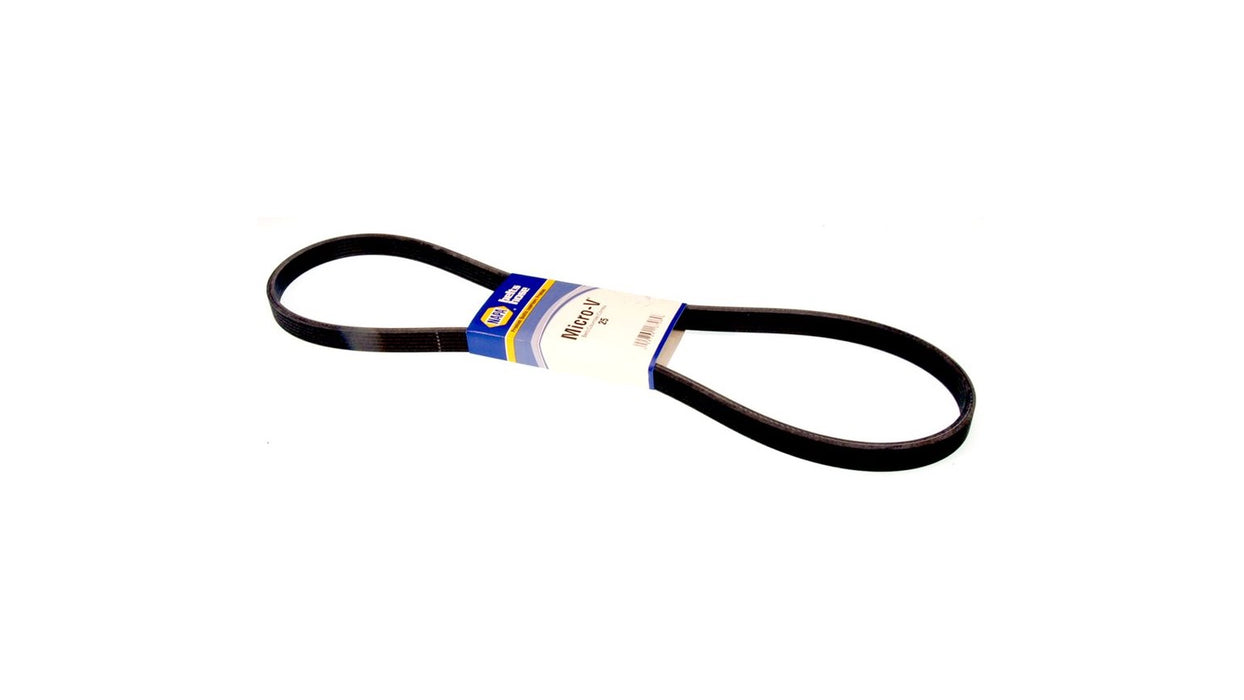 Belt - serpentine / banda - serpentina
